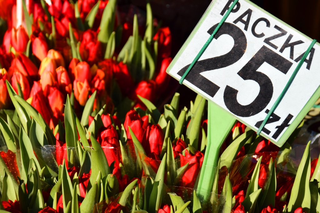 Venta de tulipanes en Plac Solny